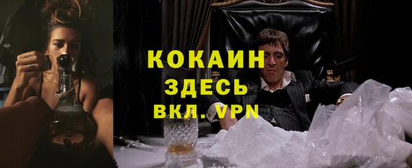 герыч Мегион