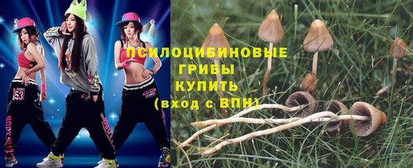 герыч Мегион