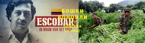 герыч Мегион
