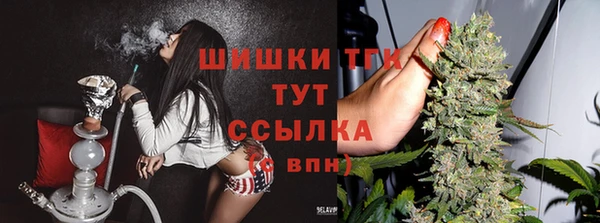 герыч Мегион