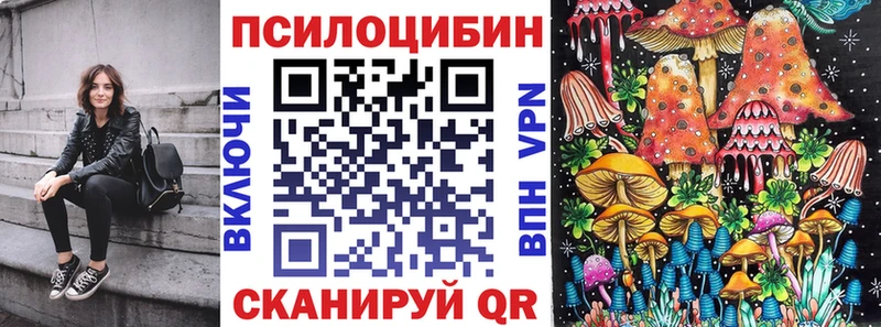 Псилоцибиновые грибы мицелий  купить  сайты  ссылка на мегу tor  Темрюк 