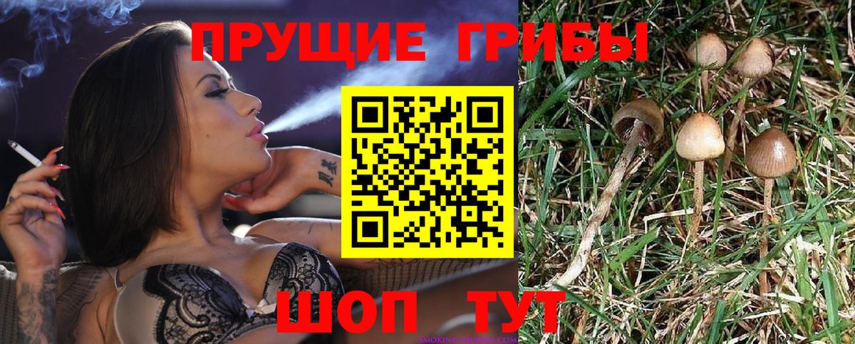 Псилоцибиновые грибы MAGIC MUSHROOMS Темрюк