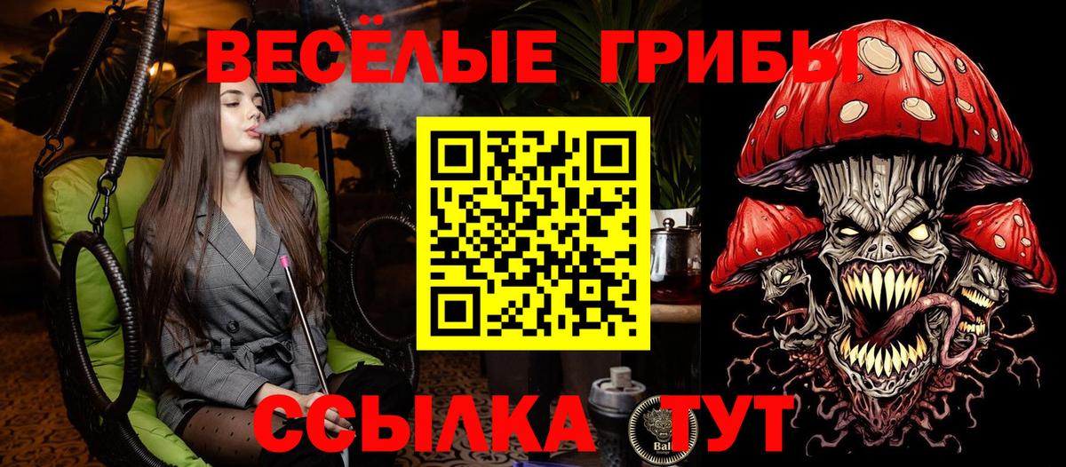 Псилоцибиновые грибы мицелий  сколько стоит  Темрюк  Псилоцибиновые грибы Magic Shrooms  Вход с VPN 