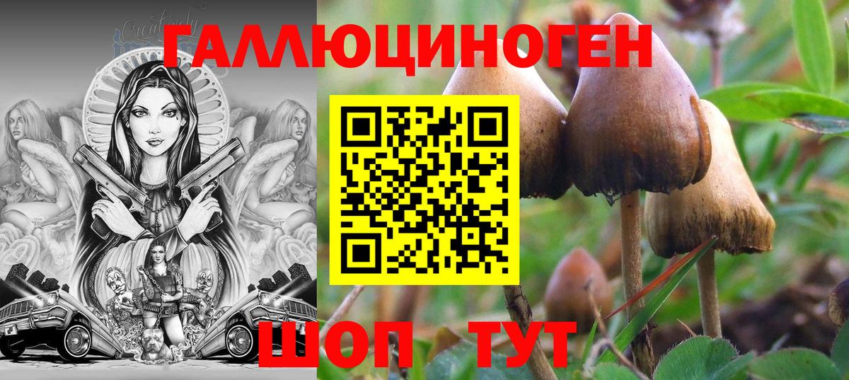 Псилоцибиновые грибы Cubensis  где найти наркотики  Темрюк 